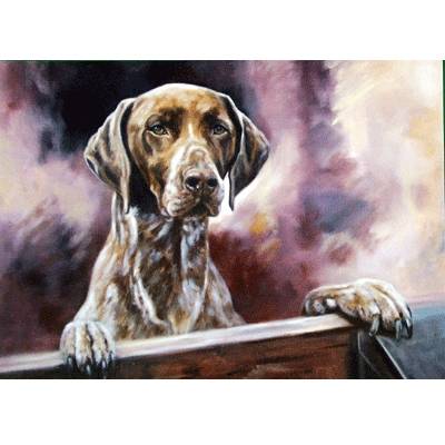 5-582143 Locked Out (German Shorthair Pointer) Blank Greeti sku 5-582143