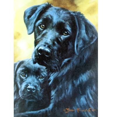 Safe and Secure (Labrador Retriever) Blank Greeting Cards - 6 Pack