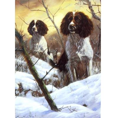 5-582153 Searching (English Springer) Blank Greeting Cards  sku 5-582153