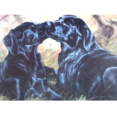 5-582156 Special Friends (Labrador Retriever) Blank Greetin sku 5-582156