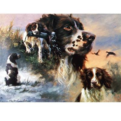 Springer Spaniels (English Springer) Blank Greeting Cards - 6 Pack