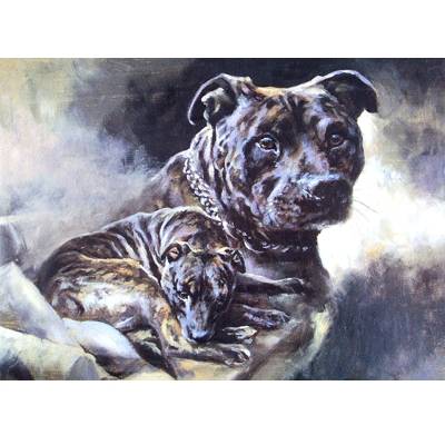 5-582158 Staffordshire Terriers Blank Greeting Cards - 6 Pa sku 5-582158