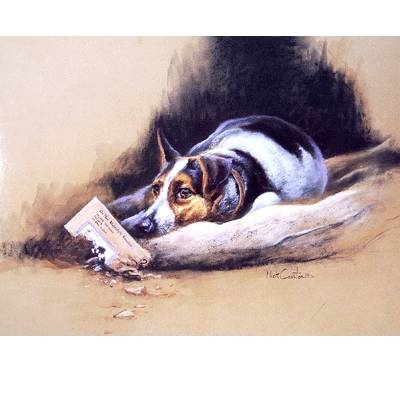 Thats Torn It (Jack Russell) Blank Greeting Cards - 6 Pack