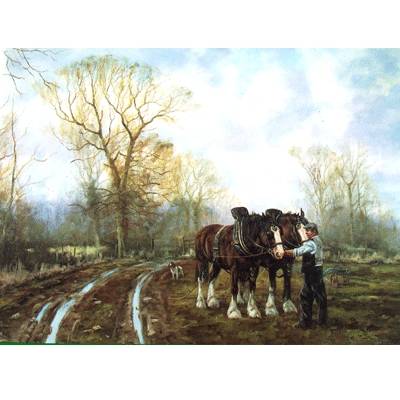 5-582167 Unhitching (Draft Horse) Blank Greeting Cards - 6  sku 5-582167