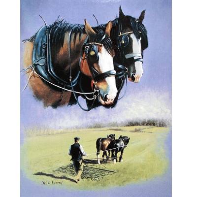 The Ploughmans Pal (Draft Horse) Blank Greeting Cards - 6 Pack