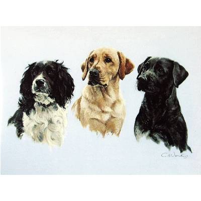 Three Wise Men (Labradors and Springer) Blank Greeting Cards - 6 Pack