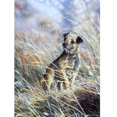 5-582176 Where (Border Terrier) Blank Greeting Cards - 6 Pa sku 5-582176