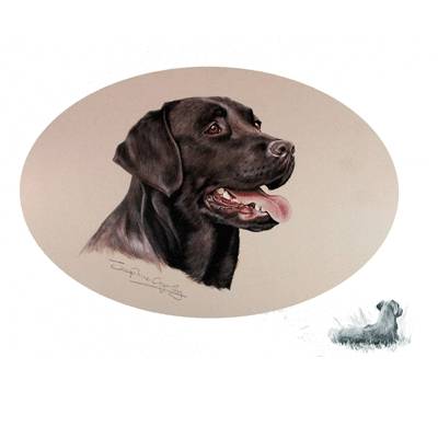 5-582213 Black Lab by: Josephine Copley sku 5-582213