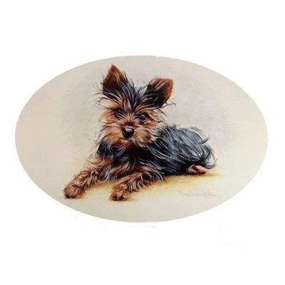 Yorkie Puppy by: Josephine Copley