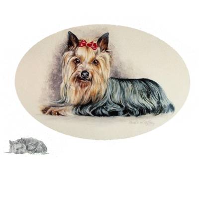 5-582215 Yorkshire Terrier by: Josephine Copley sku 5-582215