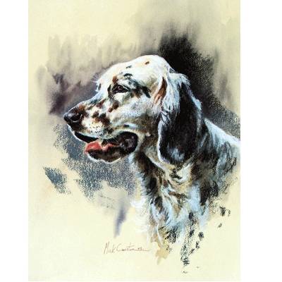 English Setter By: Mick Cawston