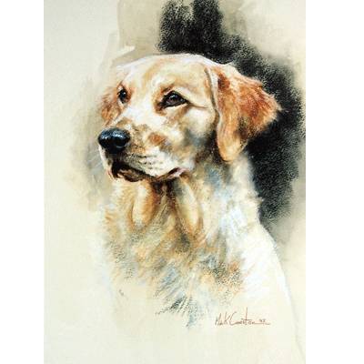 Golden Retriever By: Mick Cawston