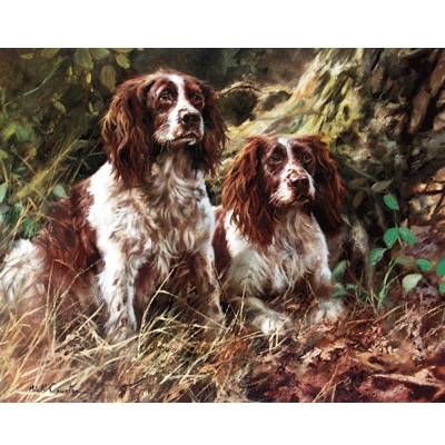 Pair of Spaniels By: Mick Cawston