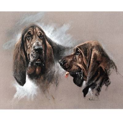 5-582240 Bloodhounds By: Mick Cawston sku 5-582240