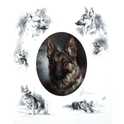 5-582242 Oval German Shepherd By: Mick Cawston sku 5-582242