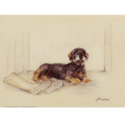 5-582290 Wire Haired Dachshund By: Gill Evans, Matted sku 5-582290