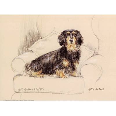 5-582291 Long Haired Dachshund By: Gill Evans, Matted sku 5-582291