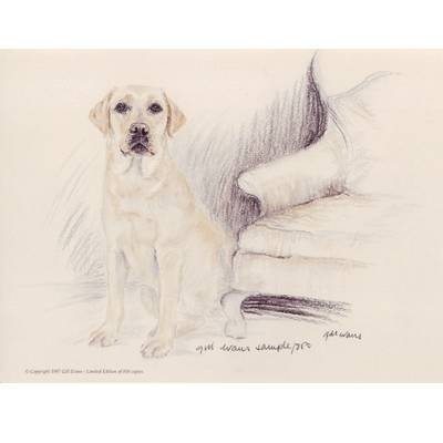 5-582294 Yellow Lab By: Gill Evans, Matted sku 5-582294