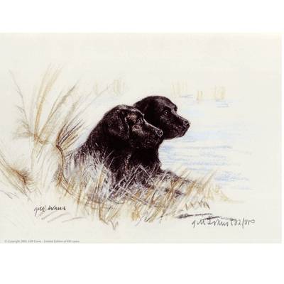 5-582295 Black Labradors By: Gill Evans, Matted sku 5-582295