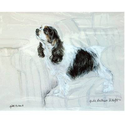 5-582296 Cavalier King Charles Spaniel By: Gill Evans, Matt sku 5-582296