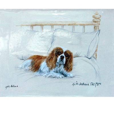 Cavalier King Charles Spaniel By: Gill Evans, Matted