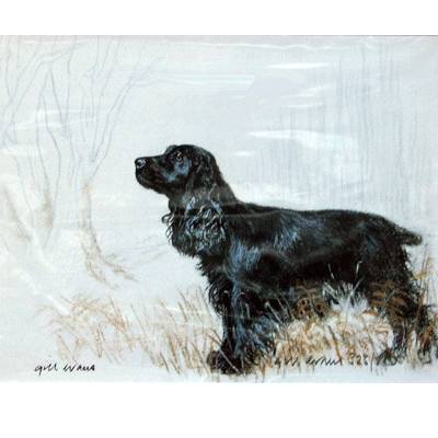 5-582298 Black Cocker Spaniel By: Gill Evans, Matted sku 5-582298