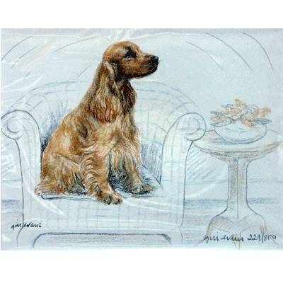 5-582299 Cocker Spaniel By: Gill Evans, Matted sku 5-582299