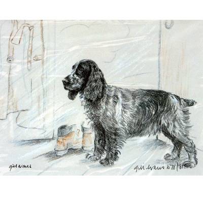 5-582300 Roan Cocker Spaniel By: Gill Evans, Matted sku 5-582300