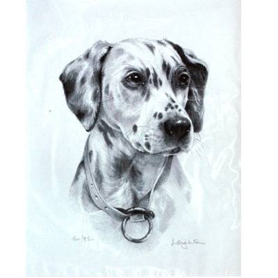 Dalmatian By: Sandra Leighton, Matted