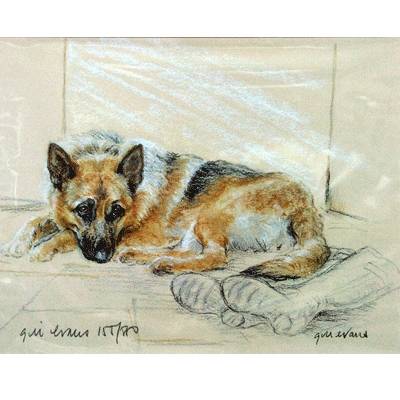 German Shepherd By: Gill Evans, Matted