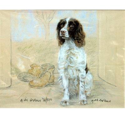 5-582309 English Springer Spaniel By: Gill Evans sku 5-582309