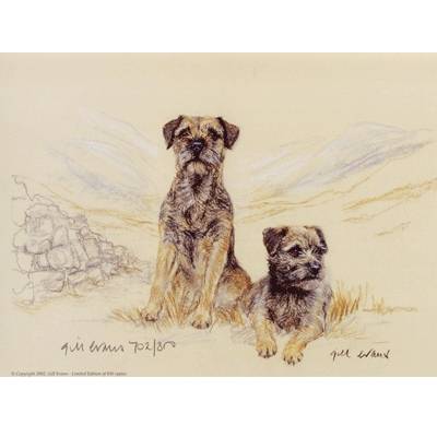 5-582312 Border Terriers By: Gill Evans sku 5-582312