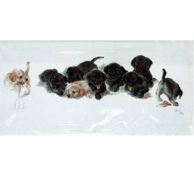 Labrador Puppies By: Nikki, Matted