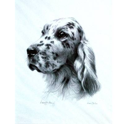 English Setter By: Sandra Leighton, Matted