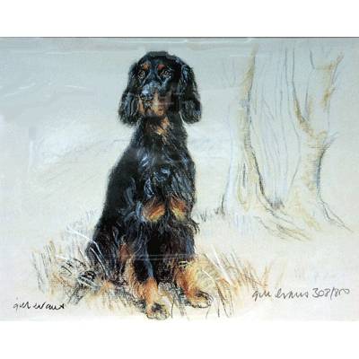 5-582315 Gordon Setter By: Gill Evans sku 5-582315