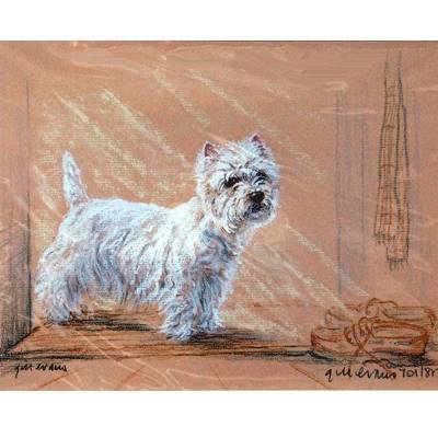 Westie by Shoes By: Gill Evans