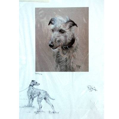 Lurcher By: Refna Hamey