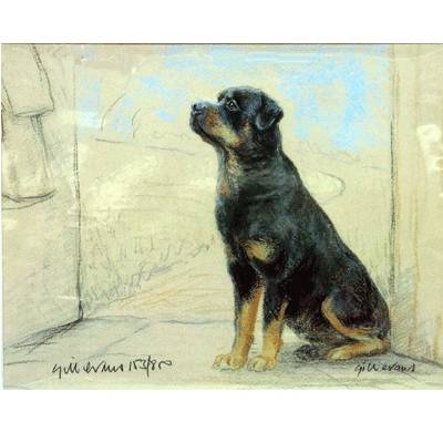 5-582320 Rottweiler By: Gill Evans, Matted sku 5-582320