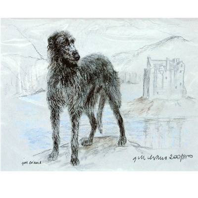 5-582322 Deerhound By: Gill Evans, Matted sku 5-582322