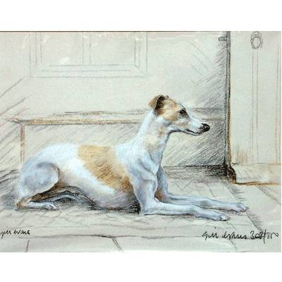 5-582323 Whippet By: Gill Evans, Matted sku 5-582323