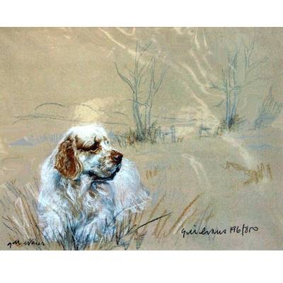 5-582324 Clumber Spaniel By: Gill Evans, Matted sku 5-582324