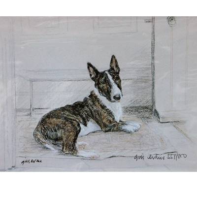 5-582325 Bull Terrier By: Gill Evans, Matted sku 5-582325