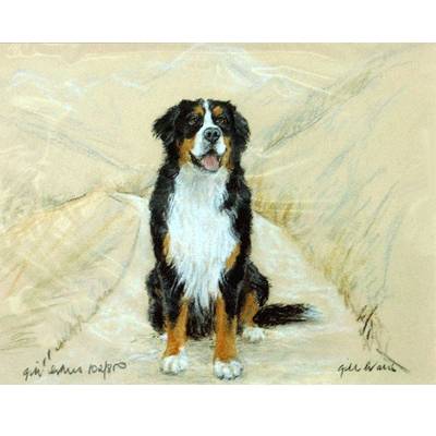 5-582327 Bernese Mountain Dog By: Gill Evans, Matted sku 5-582327