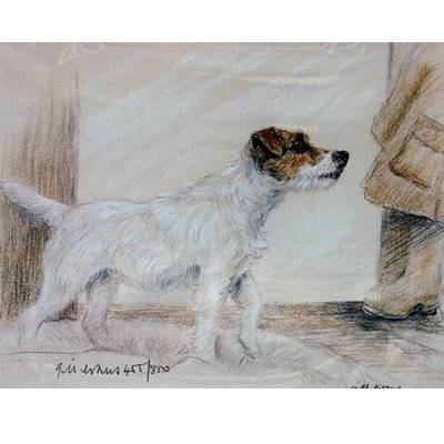 Terrier Standing By: Gill Evans, Matted