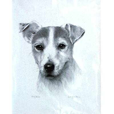 5-582329 Jack Russell Terrier By: Sandra Leighton, Matted sku 5-582329