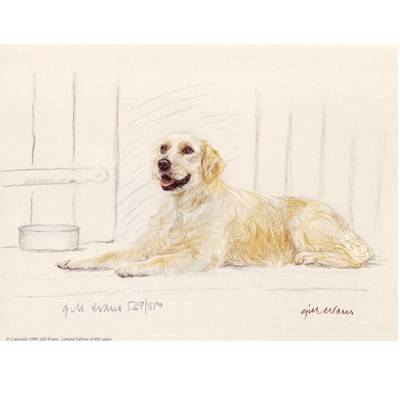 5-582332 Golden Retriever By: Gill Evans, Matted sku 5-582332