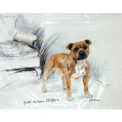 5-582334 Staffordshire Bull By: Gill Evans, Matted sku 5-582334