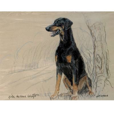 5-582335 Doberman By: Gill Evans, Matted sku 5-582335