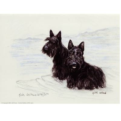 5-582336 Scottish Terriers By: Gill Evans, Matted sku 5-582336