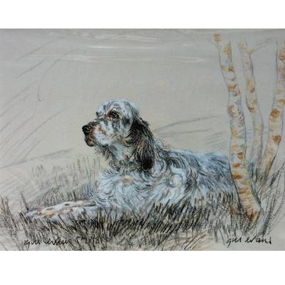 5-582337 English Setter By: Gill Evans, Matted sku 5-582337